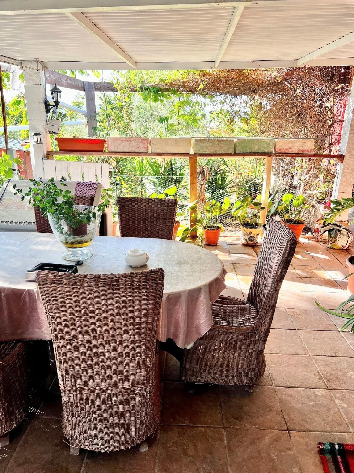  te koop boerderij Biar Alt Vinalopó 2