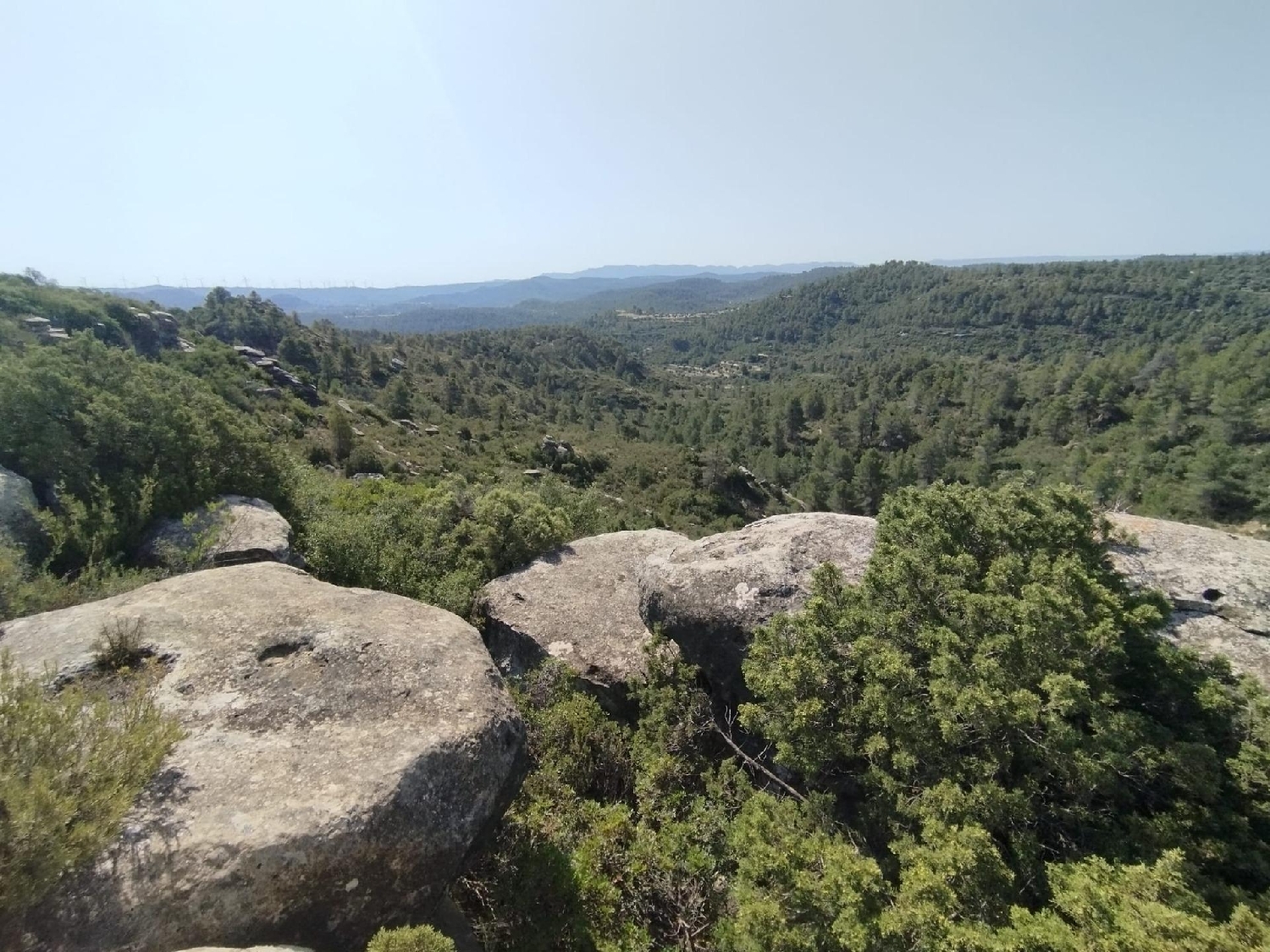  en venta finca rústica Calaceite Matarraña 3
