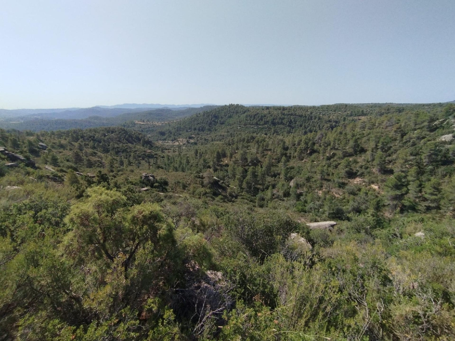  en venta finca rústica Calaceite Matarraña 5