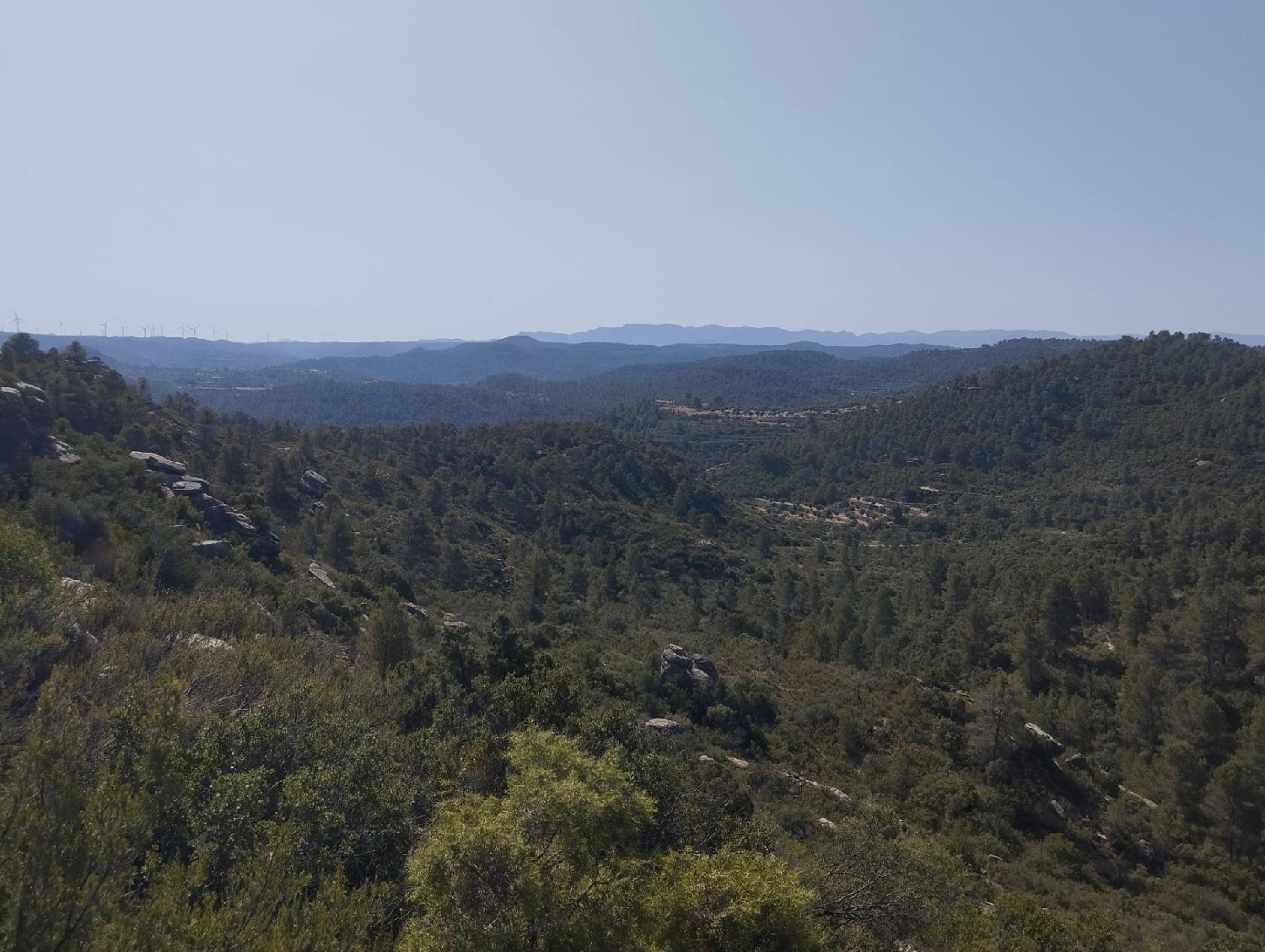  en venta finca rústica Calaceite Matarraña 6