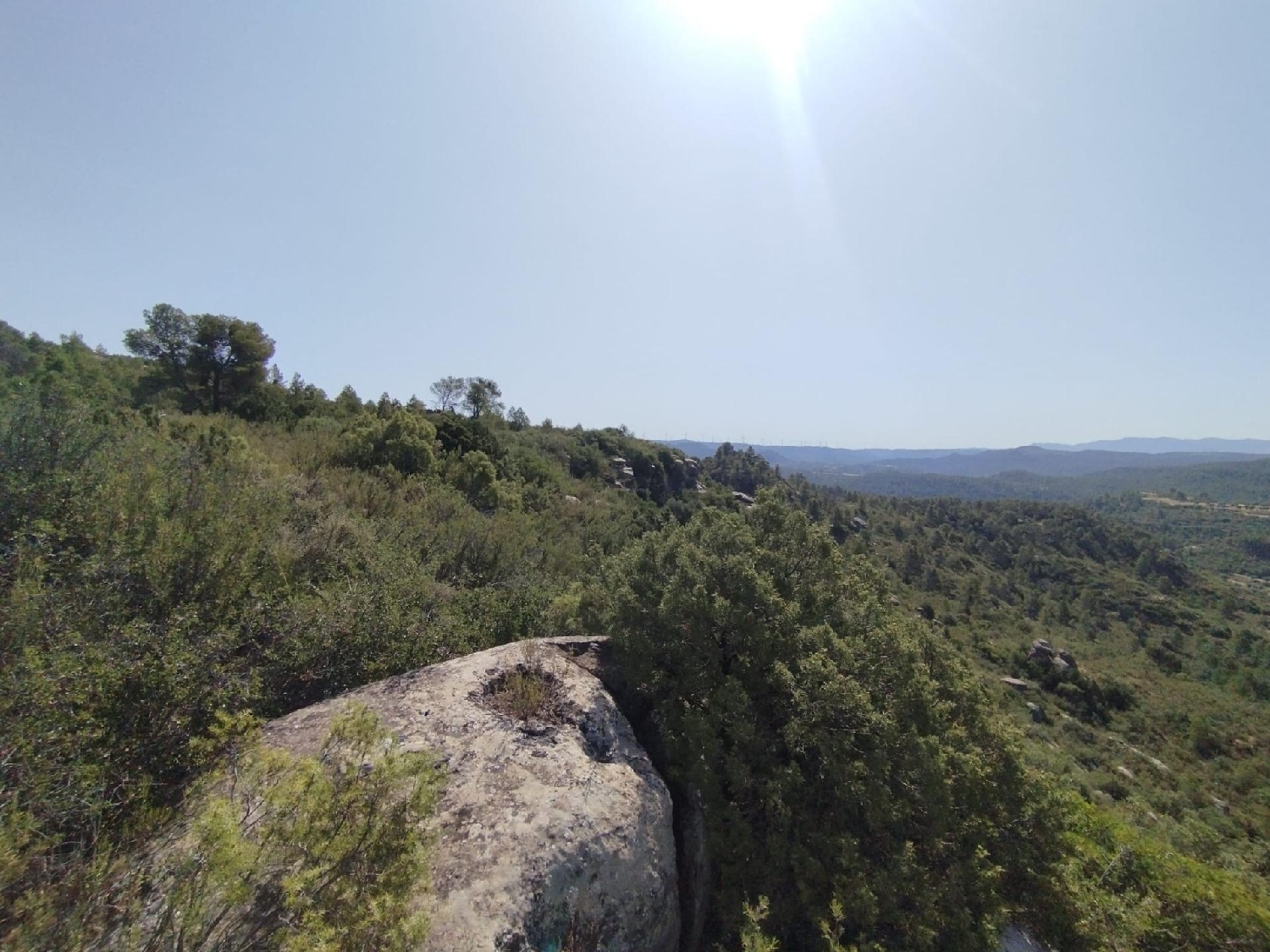  en venta finca rústica Calaceite Matarraña 2