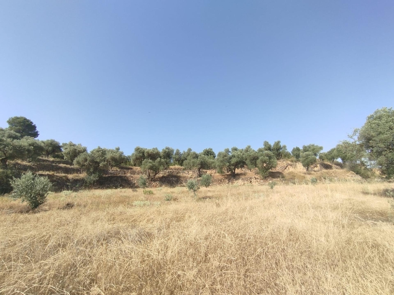 à vendre maison de campagne Calaceite Matarraña 5