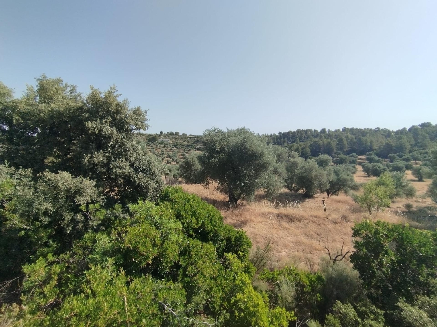 à vendre maison de campagne Calaceite Matarraña 7