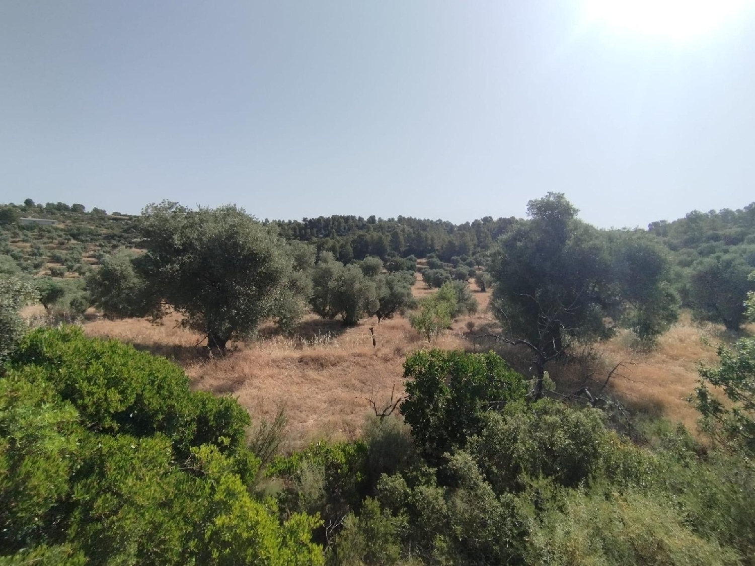 à vendre maison de campagne Calaceite Matarraña 6