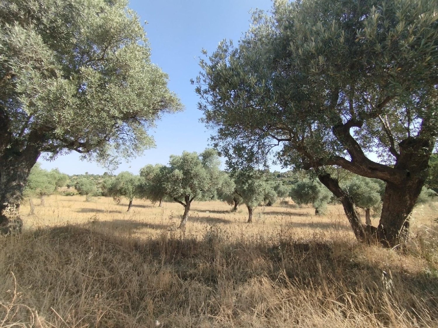 à vendre maison de campagne Calaceite Matarraña 4