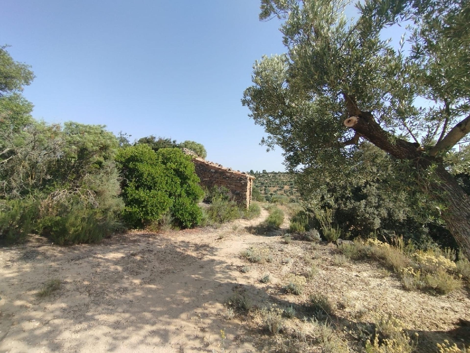 à vendre maison de campagne Calaceite Matarraña 1