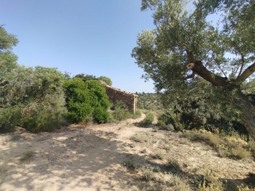 Calaceite Matarraña maison de campagne foto 6319842