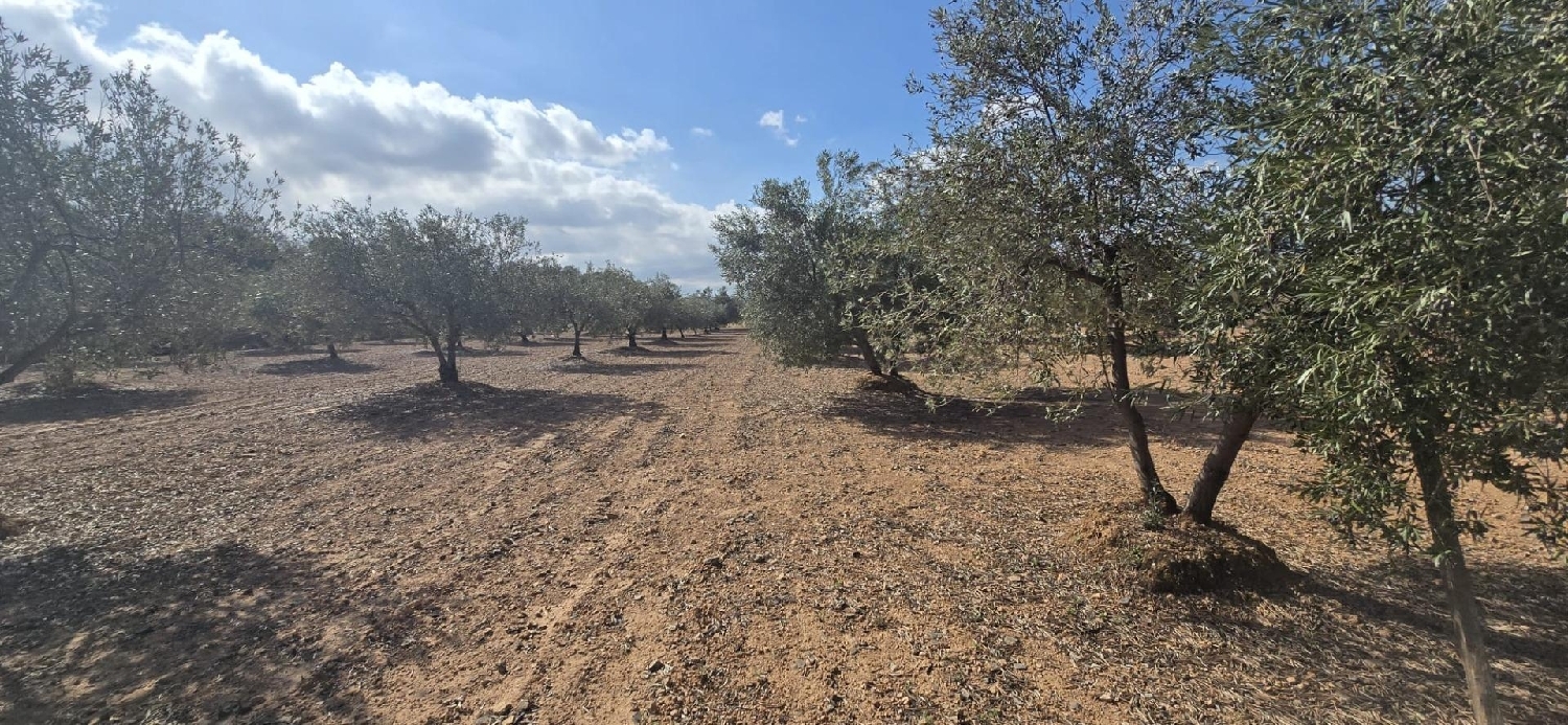  à vendre maison de campagne Camp De Lliria Camp De Túria 6