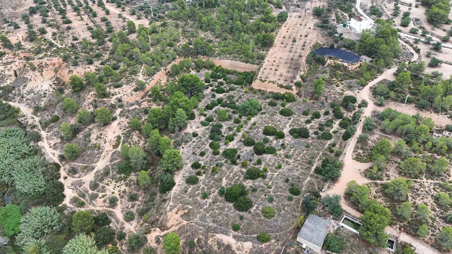  for sale country house Camp De Lliria Camp De Túria 7