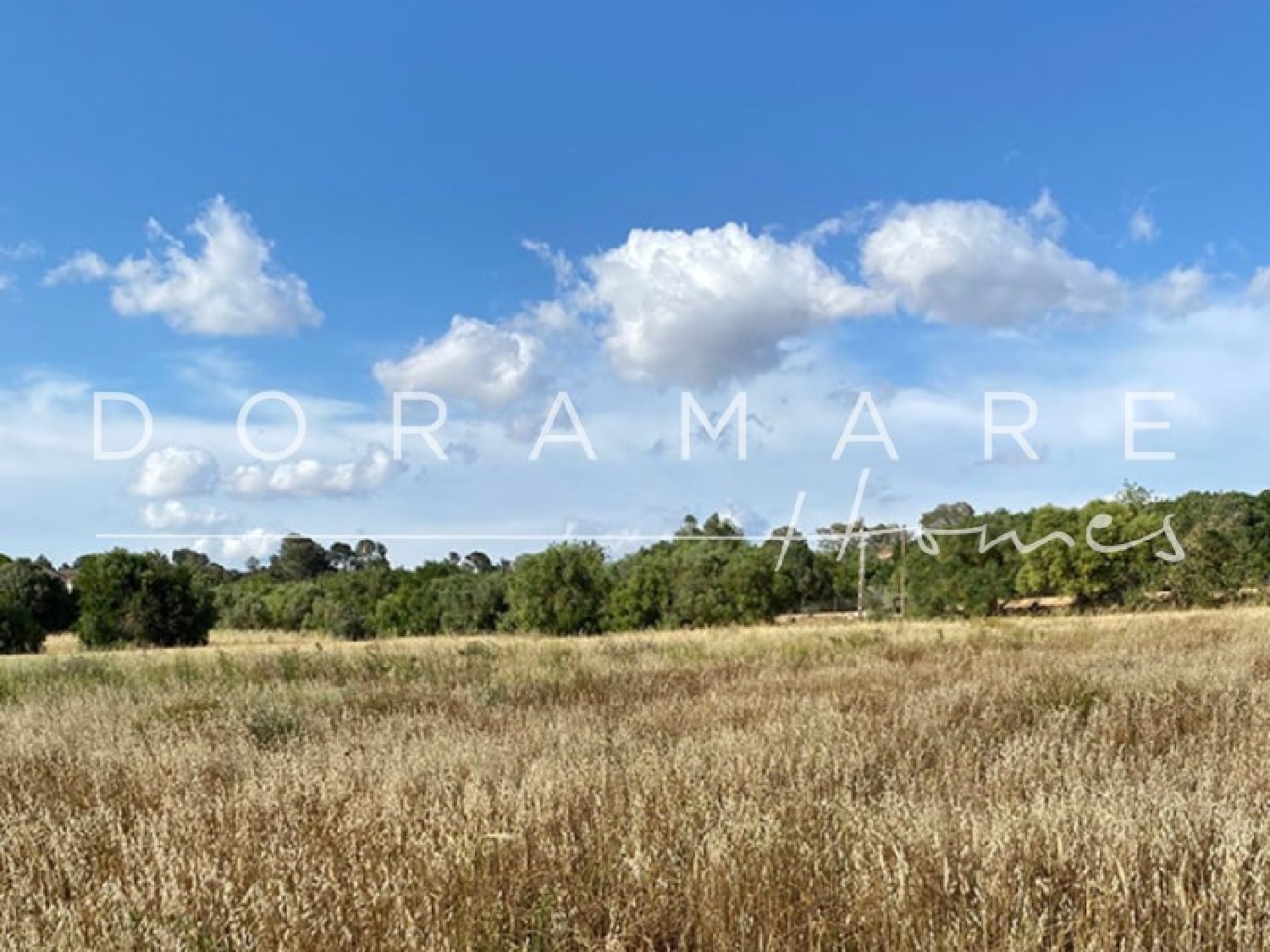  en venta finca rústica Campos Sud 7