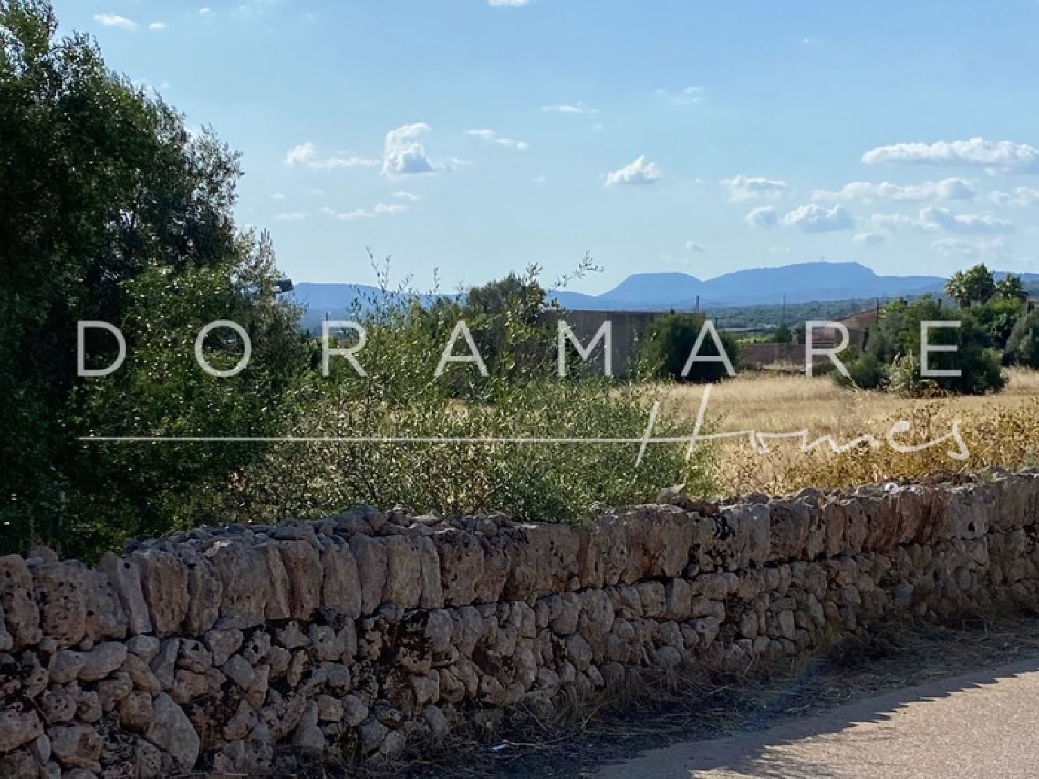  en venta finca rústica Campos Sud 4
