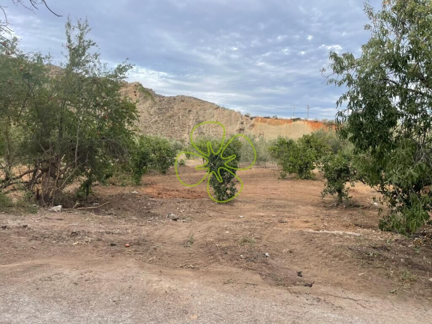  till salu hus på landet Cantoria Valle Del Almanzora 6