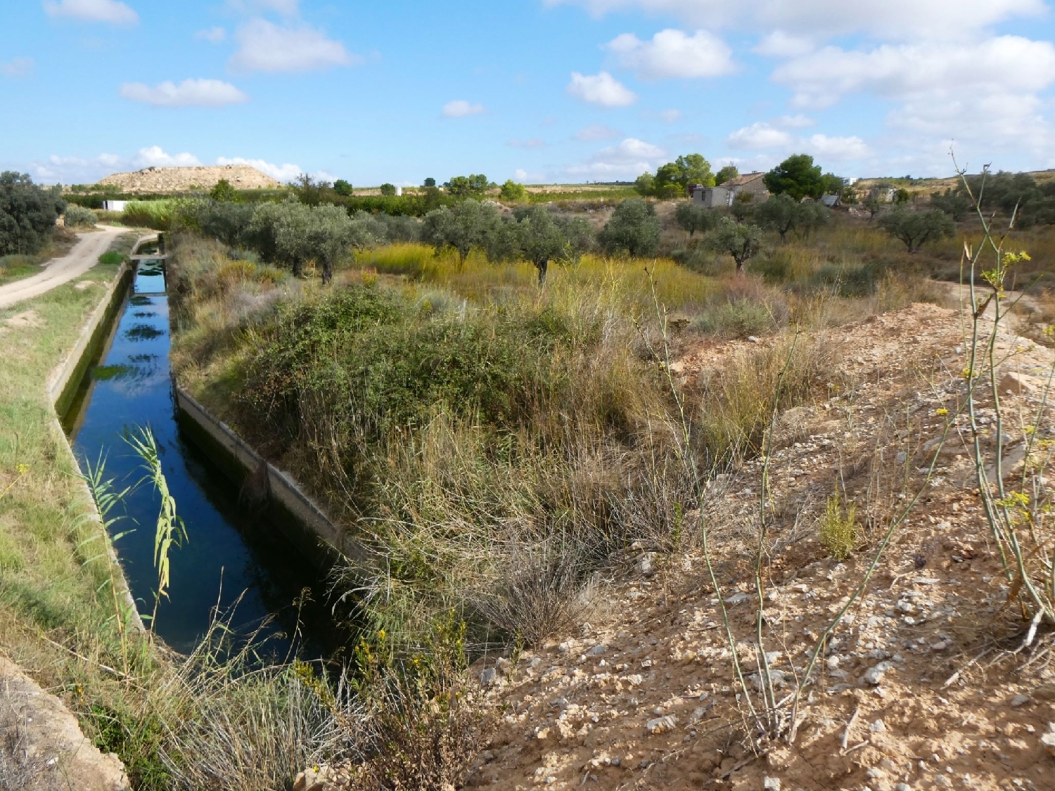  for sale country house Caspe Bajo Aragón-Caspe 1
