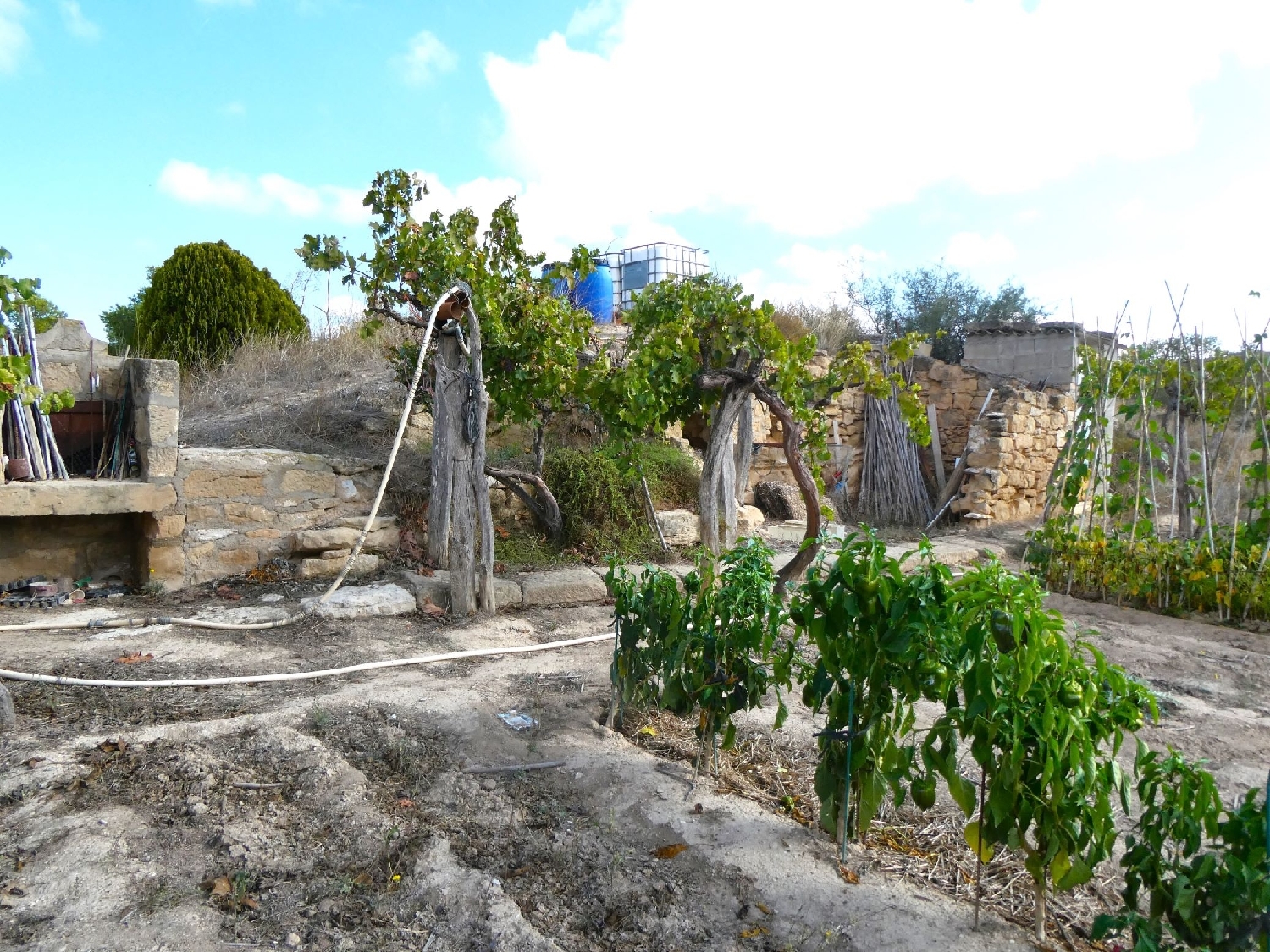  for sale country house Caspe Bajo Aragón-Caspe 14