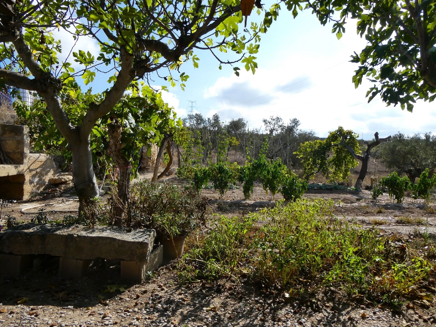  for sale country house Caspe Bajo Aragón-Caspe 6