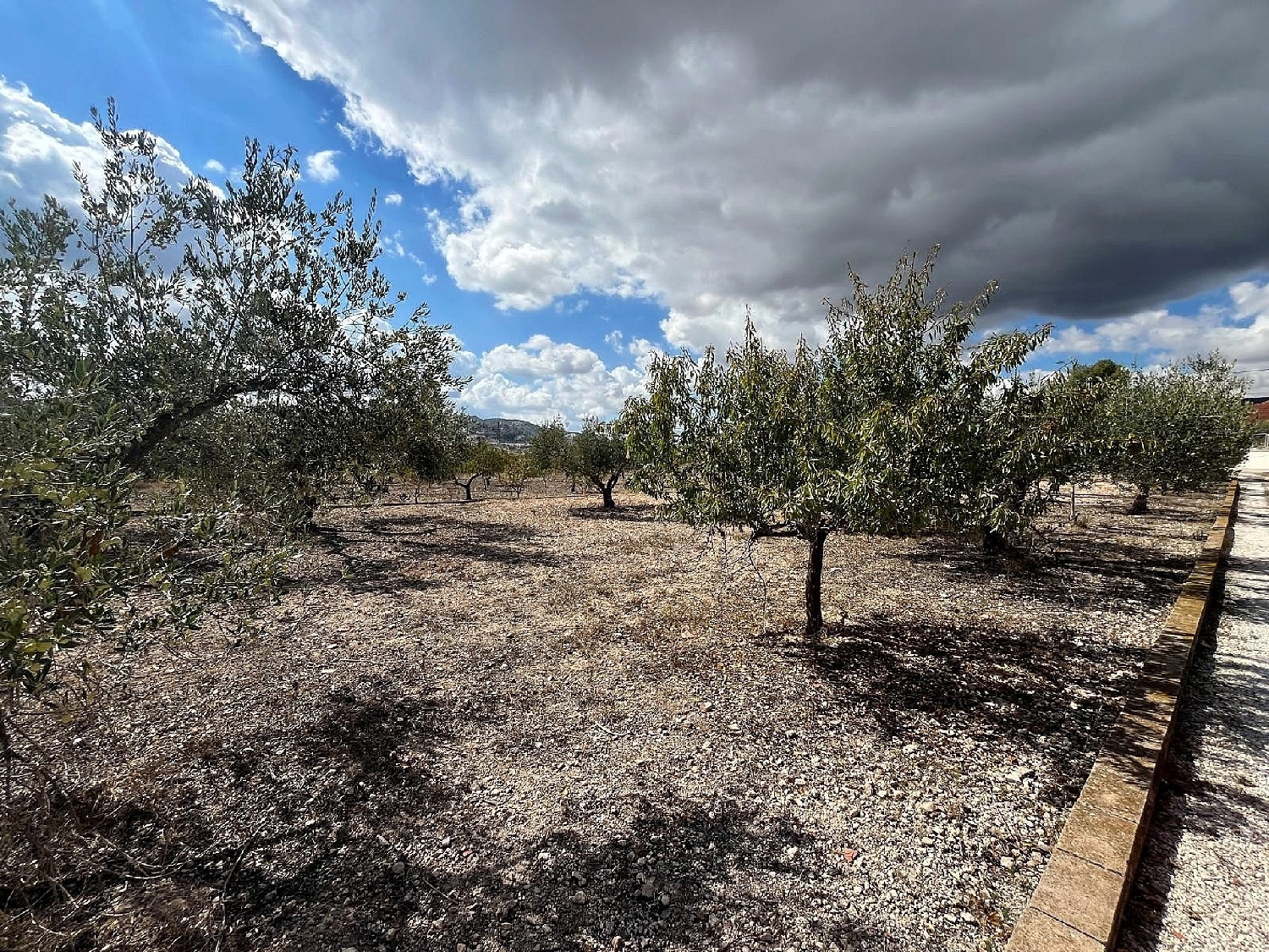  te koop boerderij Castalla Alcoia 3