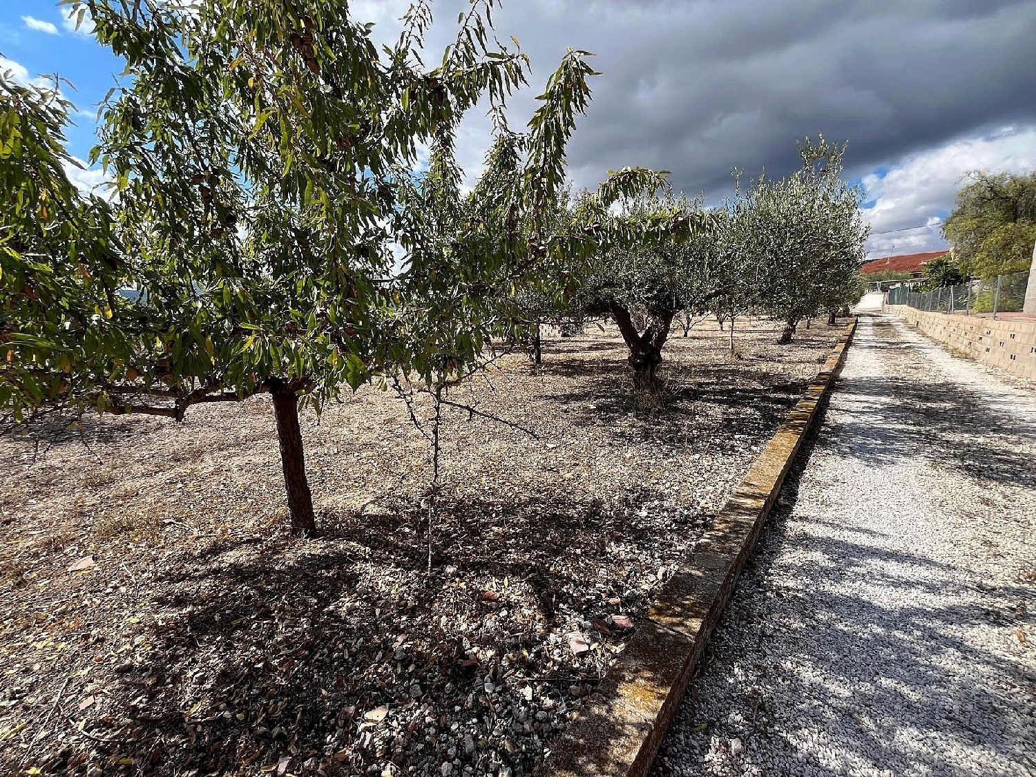 te koop boerderij Castalla Alcoia 23