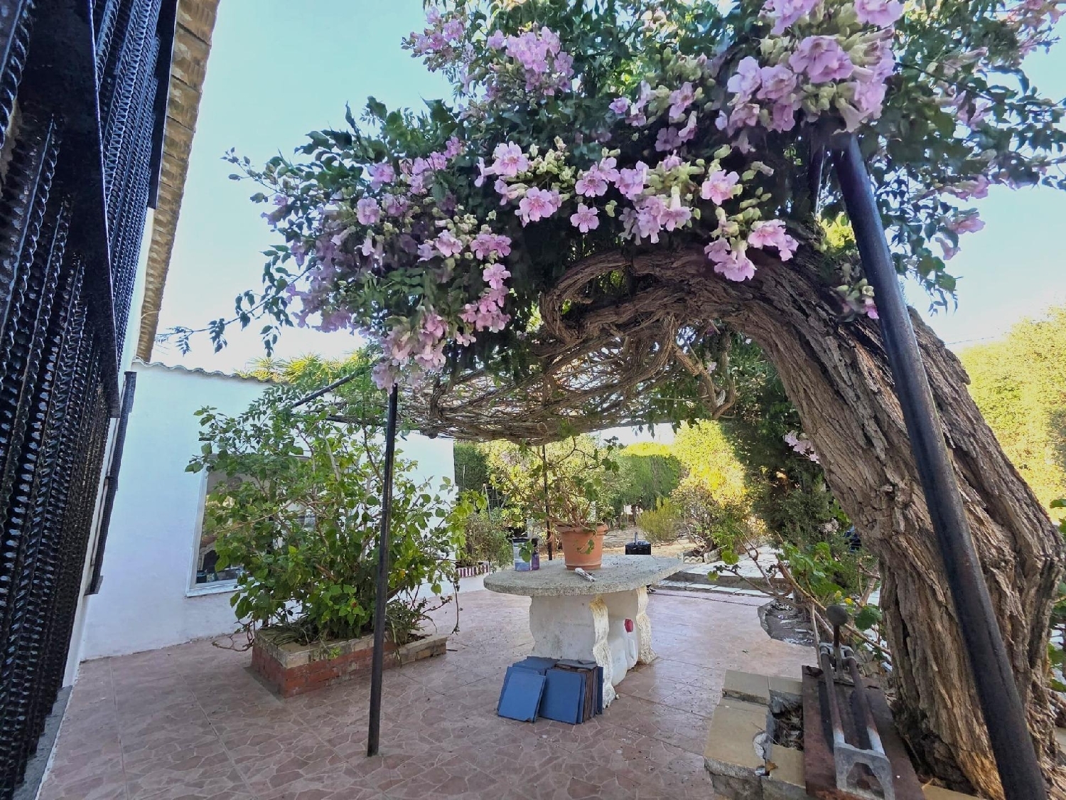 kaufen Landhaus Chiclana De La Frontera Bahía De Cádiz 3