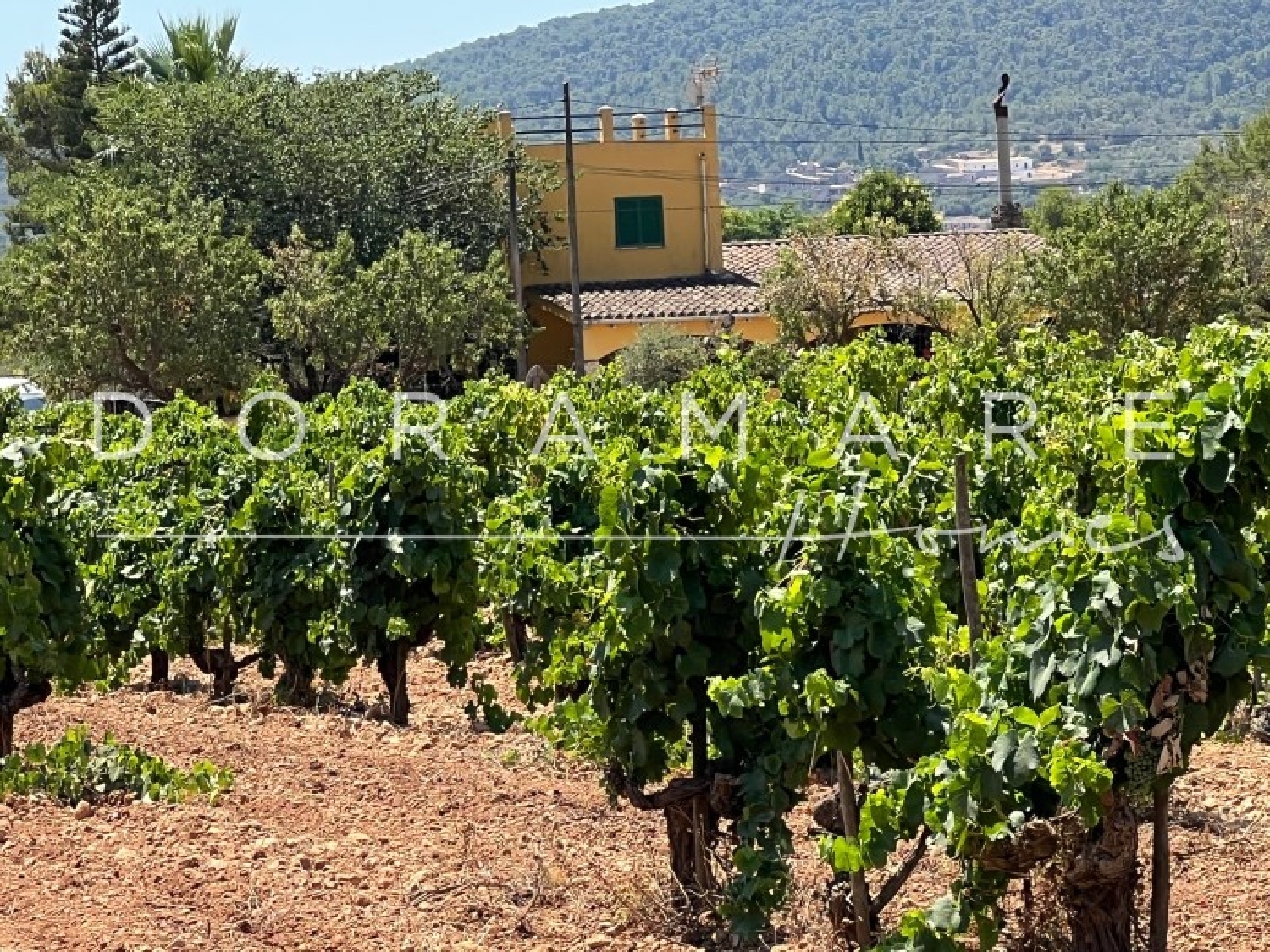  for sale country house Consell Raiguer 3