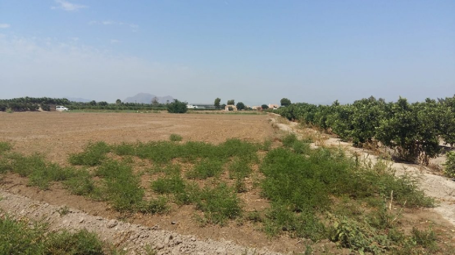 for sale country house Daya Nueva Baix Segura 2