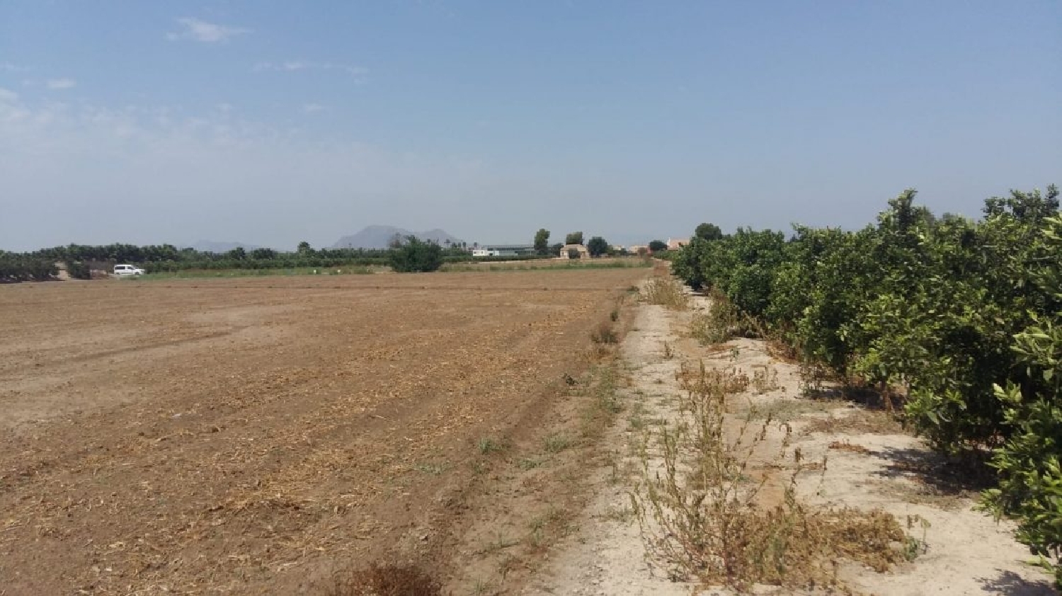 for sale country house Daya Nueva Baix Segura 3