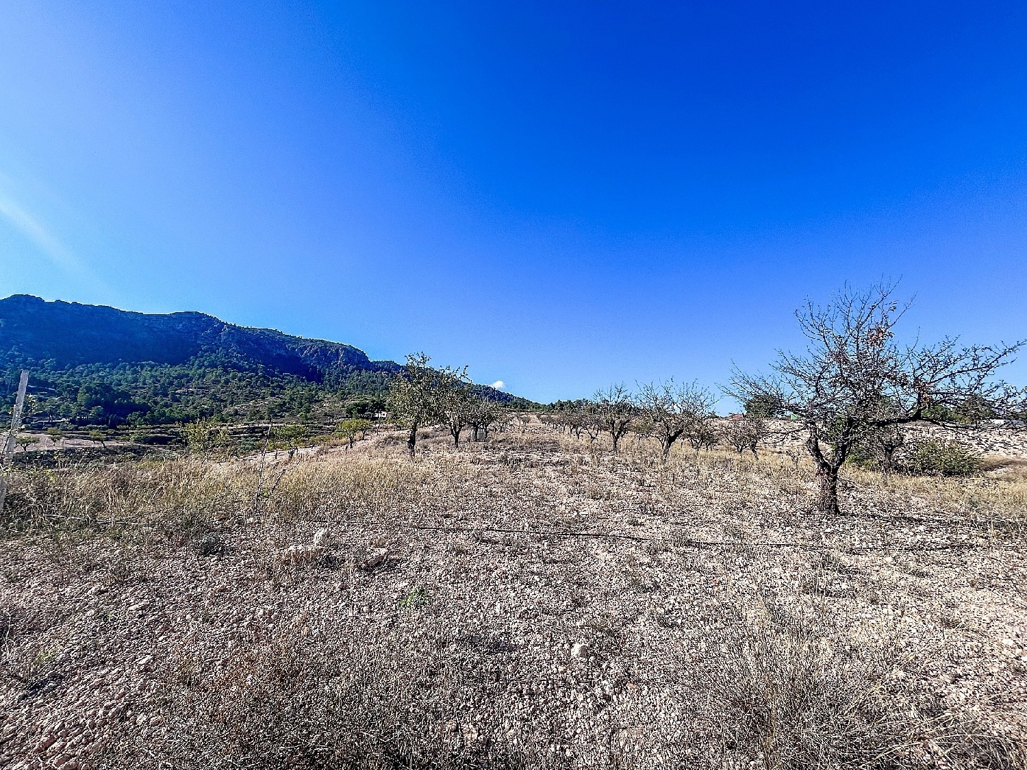  en venta finca rústica Elda Vinalopó Mitjà 27