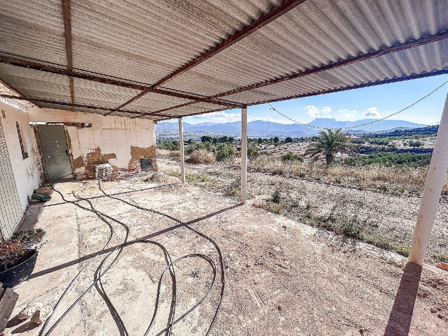  en venta finca rústica Elda Vinalopó Mitjà 4