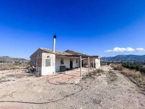 Elda Vinalopó Mitjà finca rústica foto