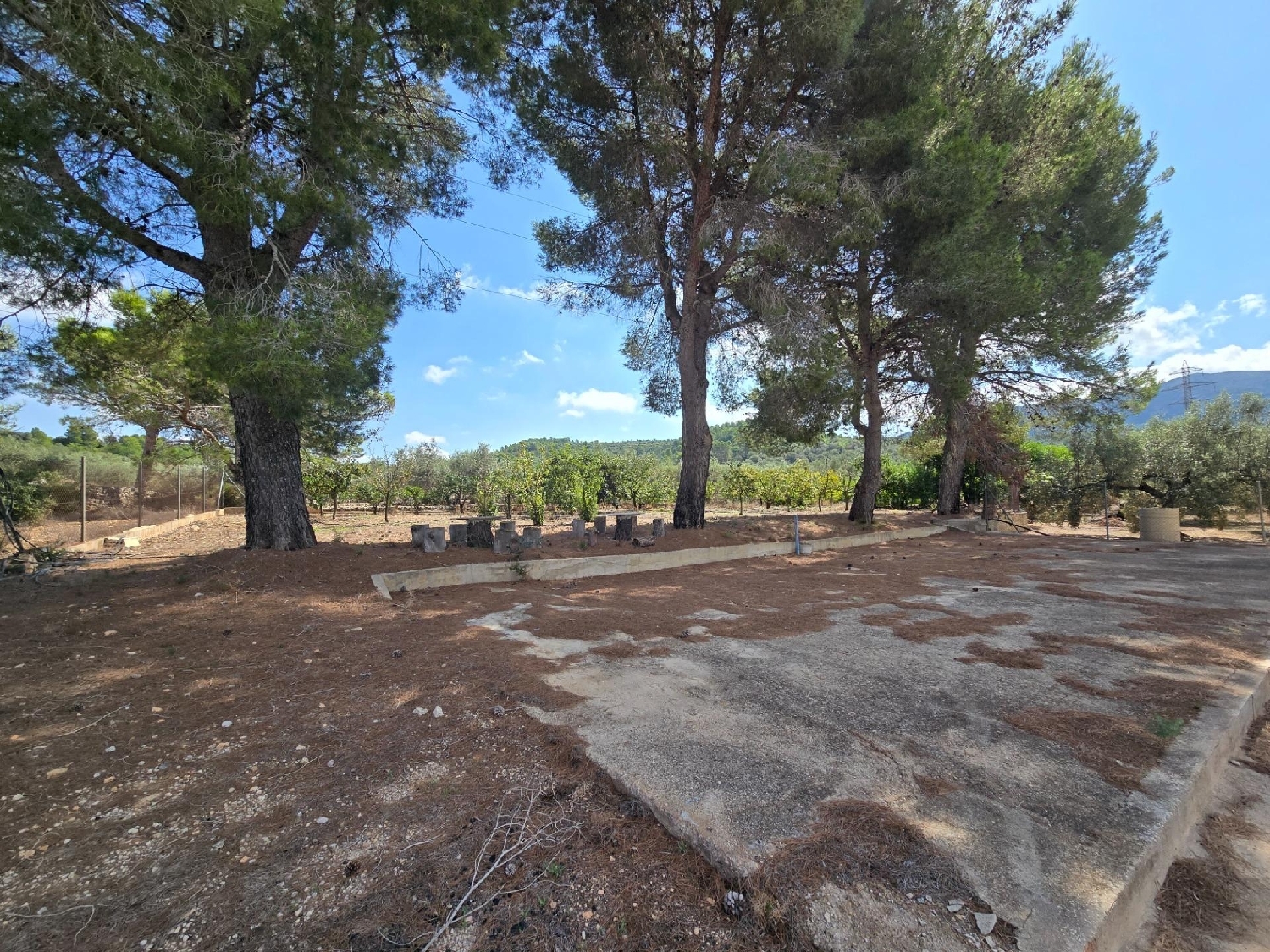  en venta finca rústica Freginals Montsià 2