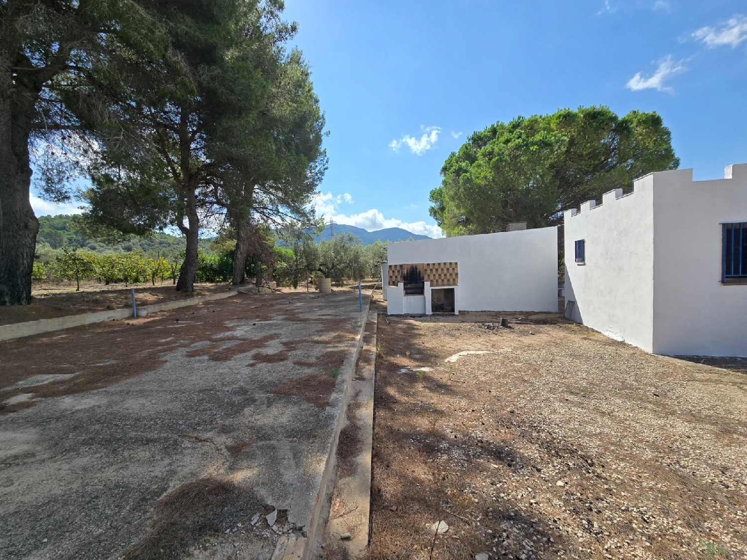  en venta finca rústica Freginals Montsià 3
