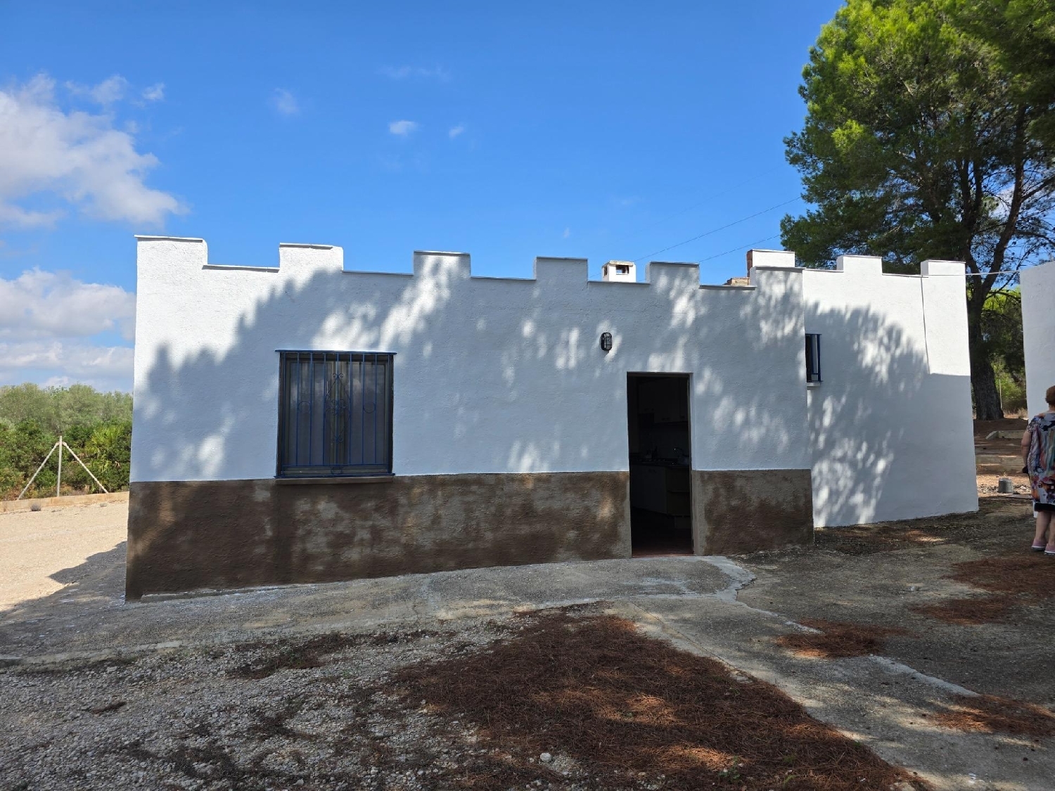  en venta finca rústica Freginals Montsià 7