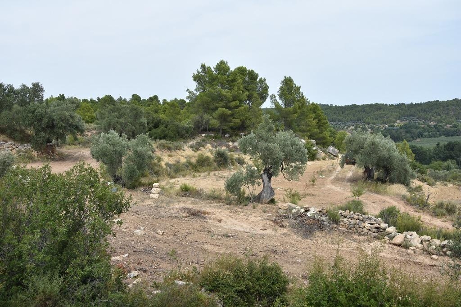  te koop boerderij Fresneda Añana 4