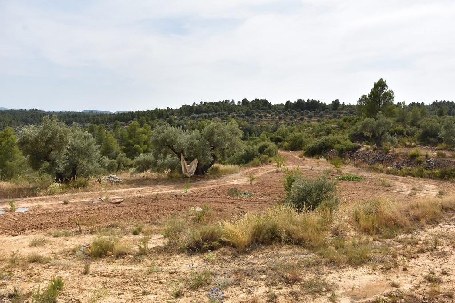  te koop boerderij Fresneda Añana 3