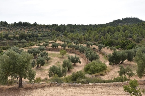 Fresneda Añana boerderij foto 6316888