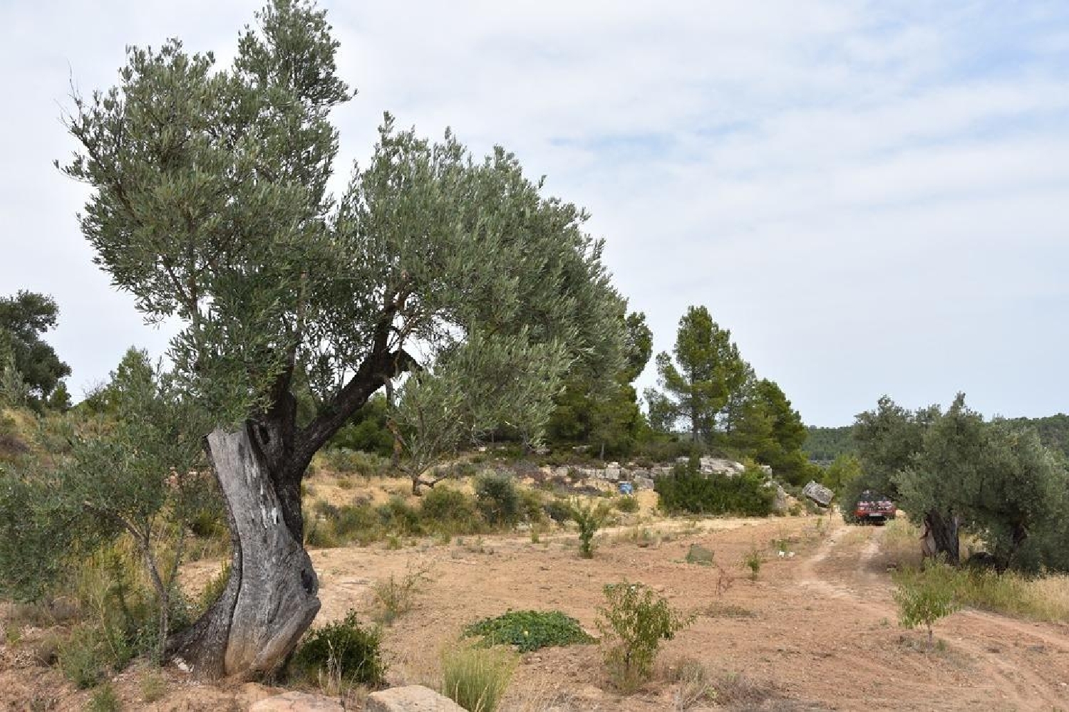  te koop boerderij Fresneda Añana 2