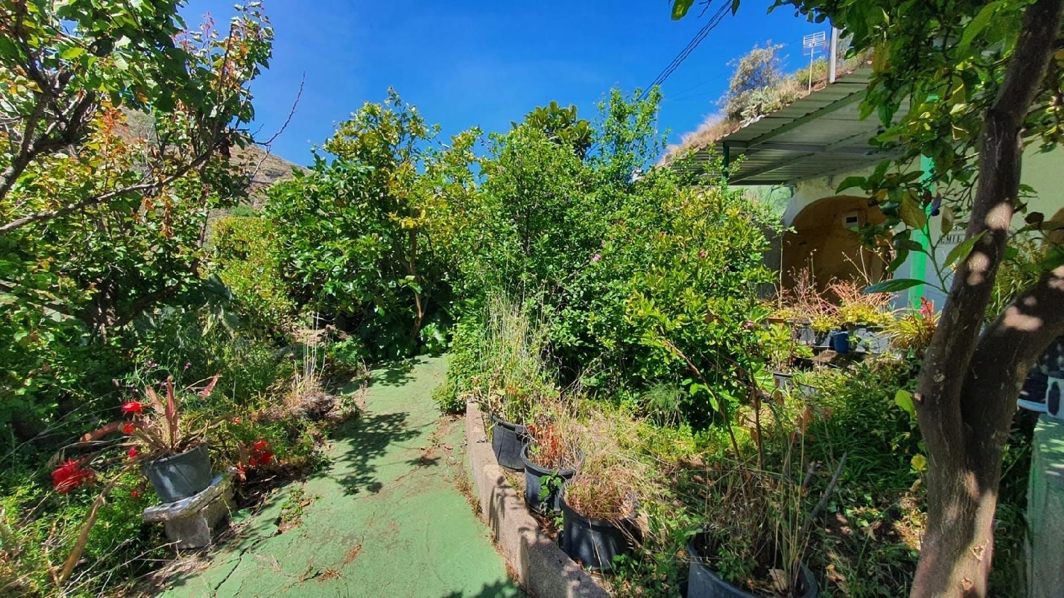 for sale country house Galdar Área Norte 2