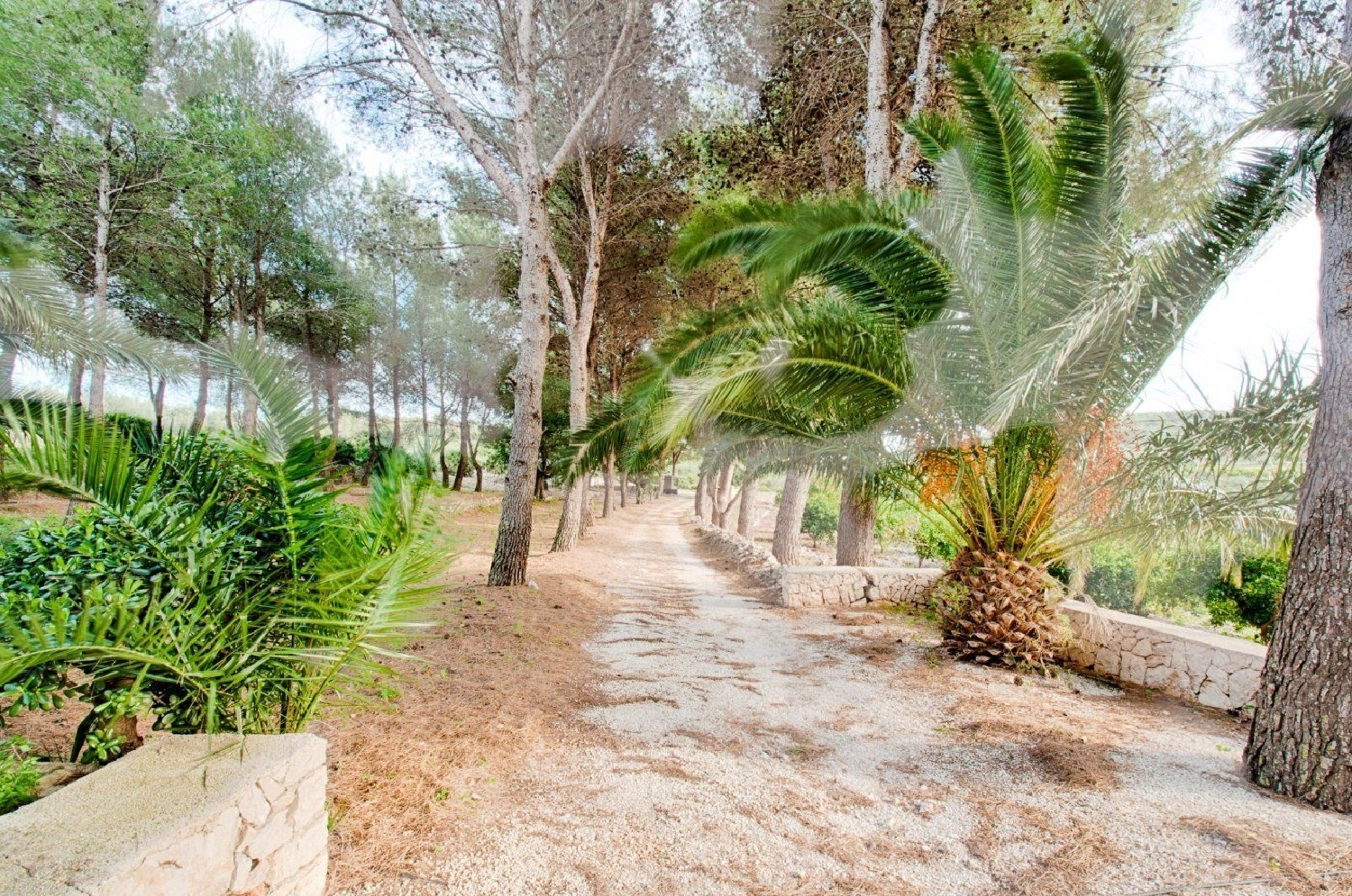 te koop boerderij Gata De Gorgos Marina Alta 22