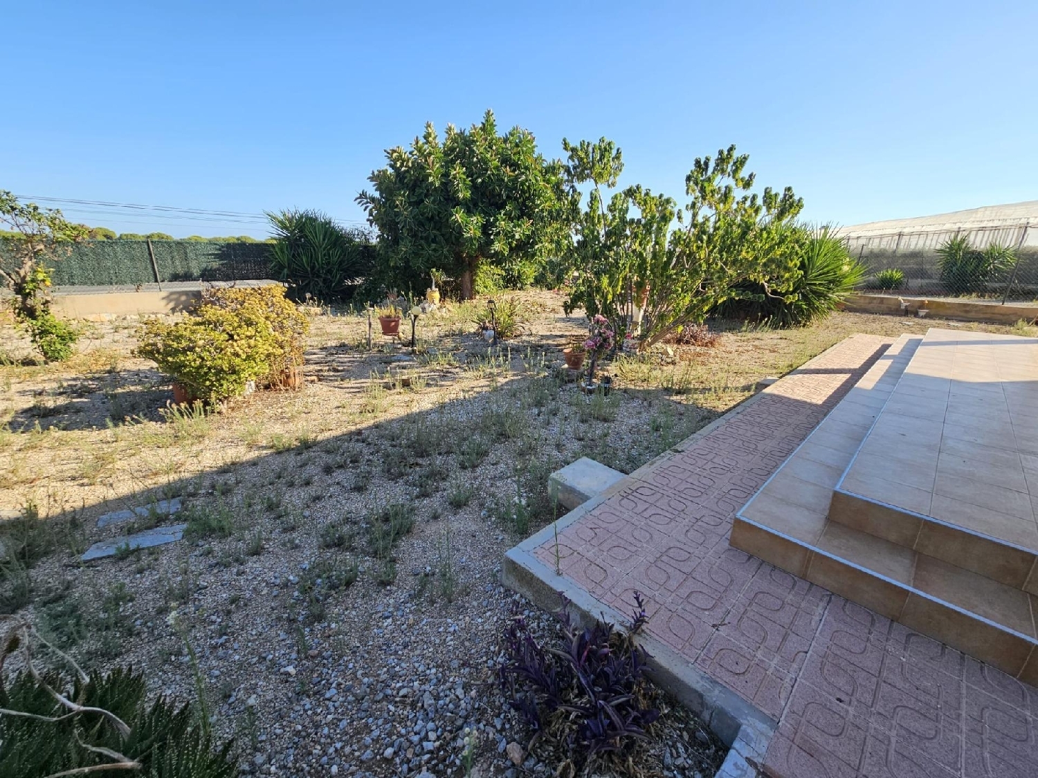  for sale country house Guardamar Del Segura Baix Segura 6