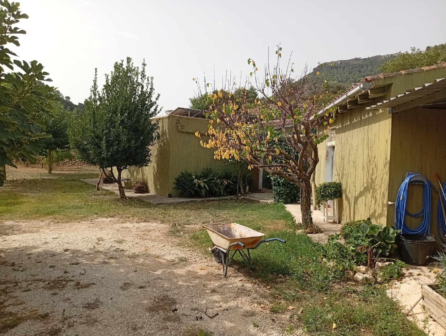  en venta finca rústica Jalón Marina Alta 5