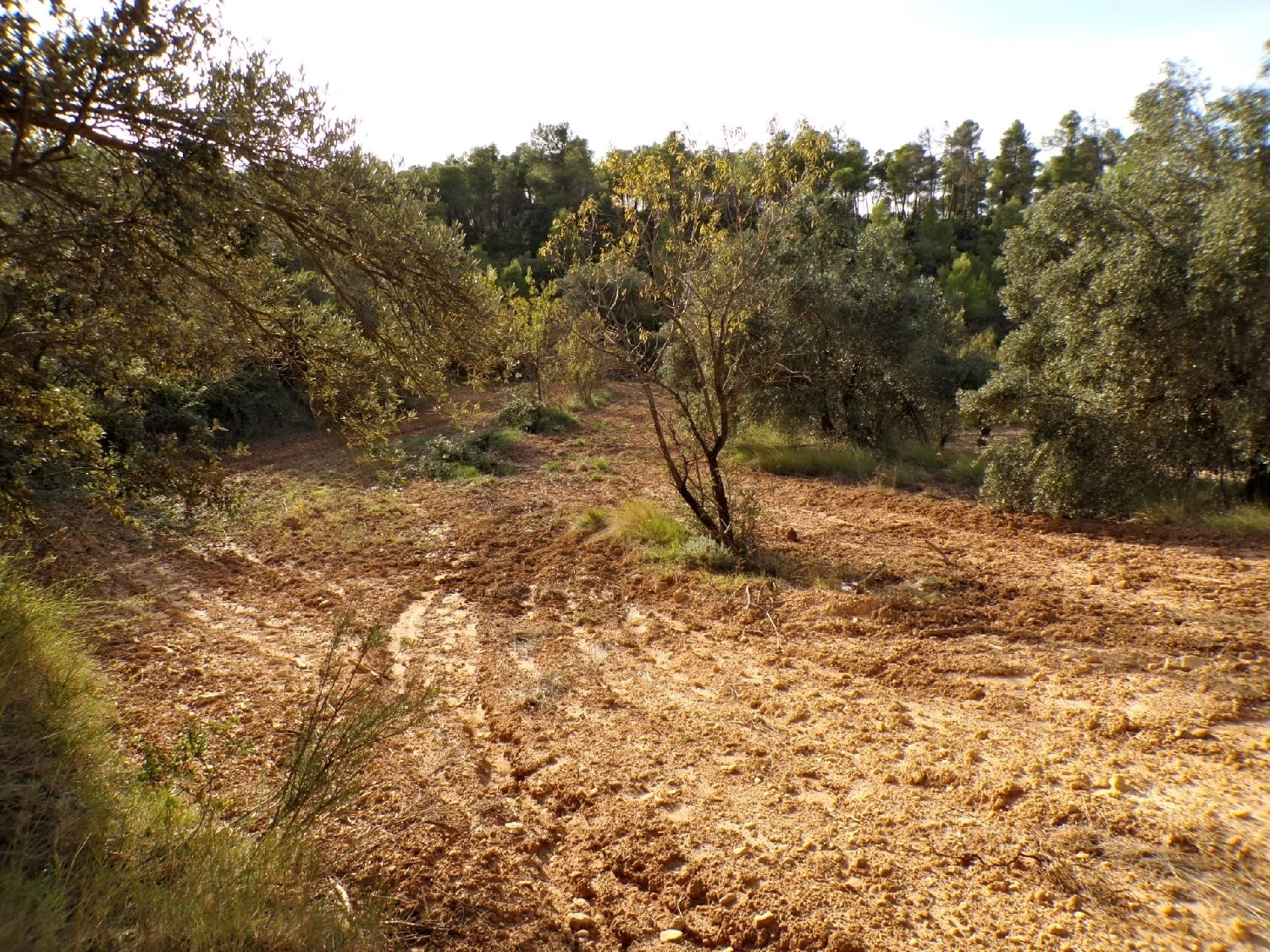  for sale country house La Portellada Matarraña 2