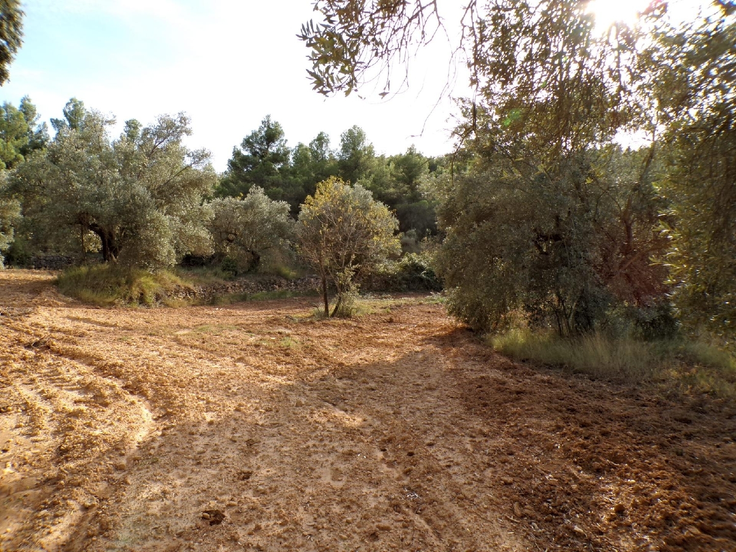  for sale country house La Portellada Matarraña 1
