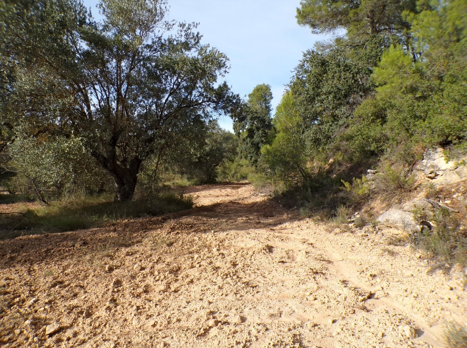  for sale country house La Portellada Matarraña 3