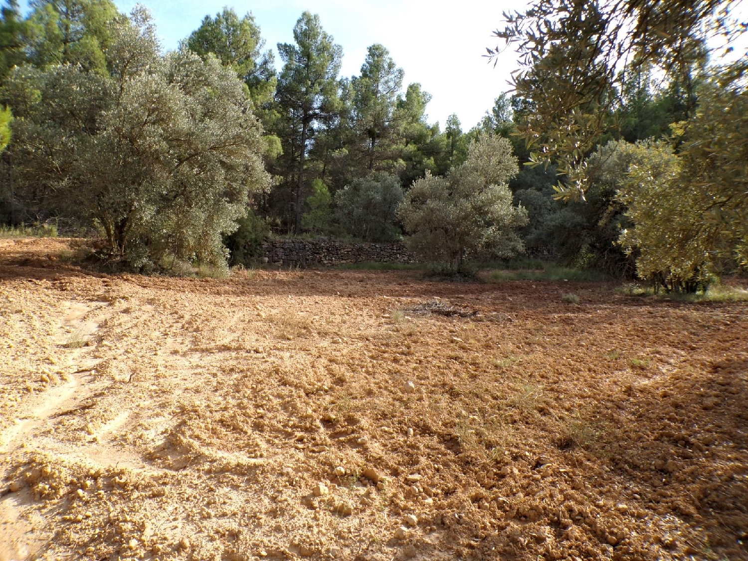  for sale country house La Portellada Matarraña 4