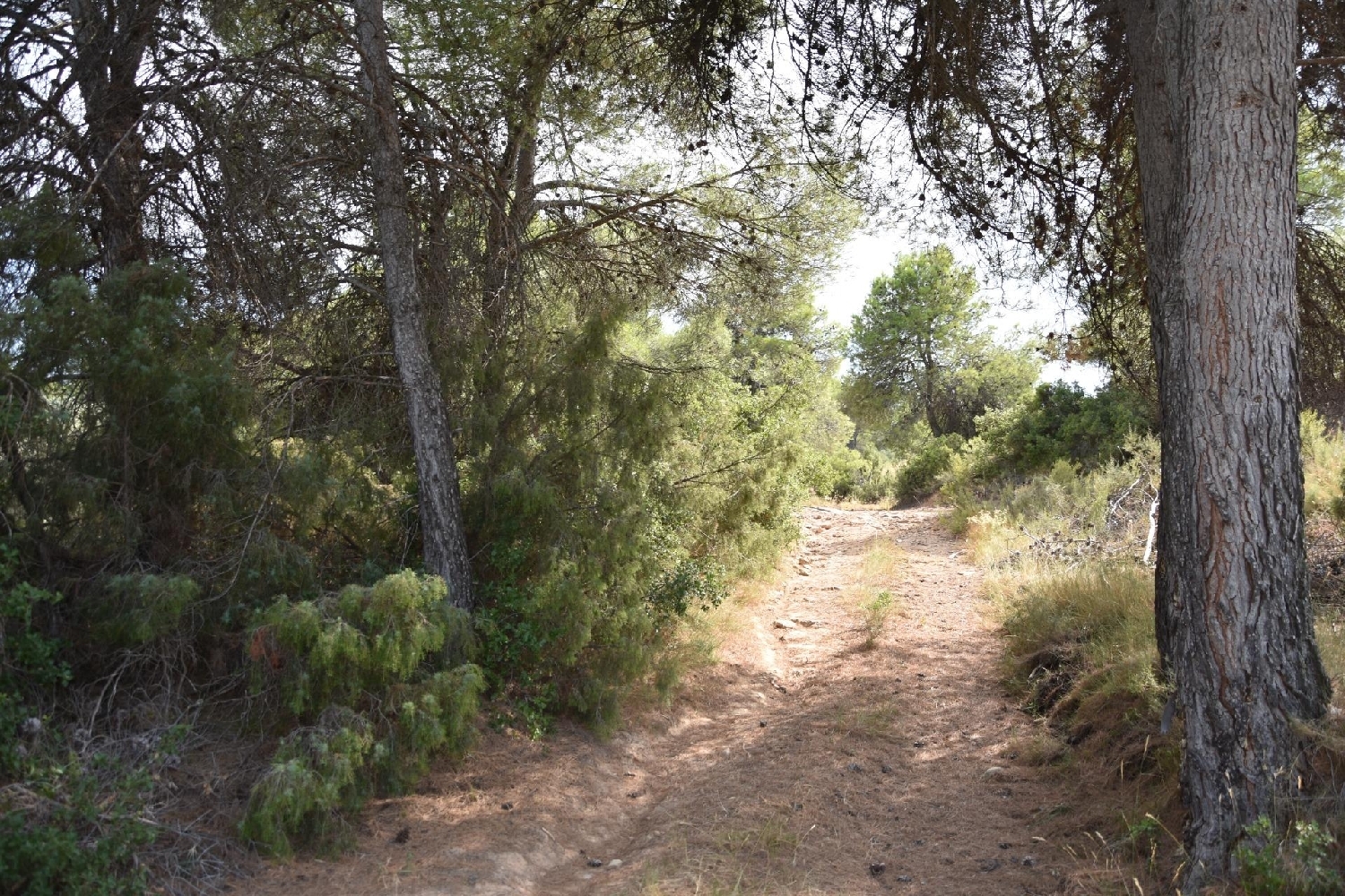  à vendre maison de campagne La Portellada Matarraña 7