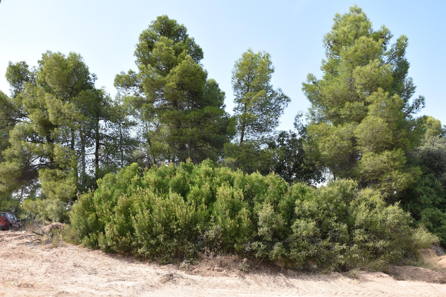  à vendre maison de campagne La Portellada Matarraña 6