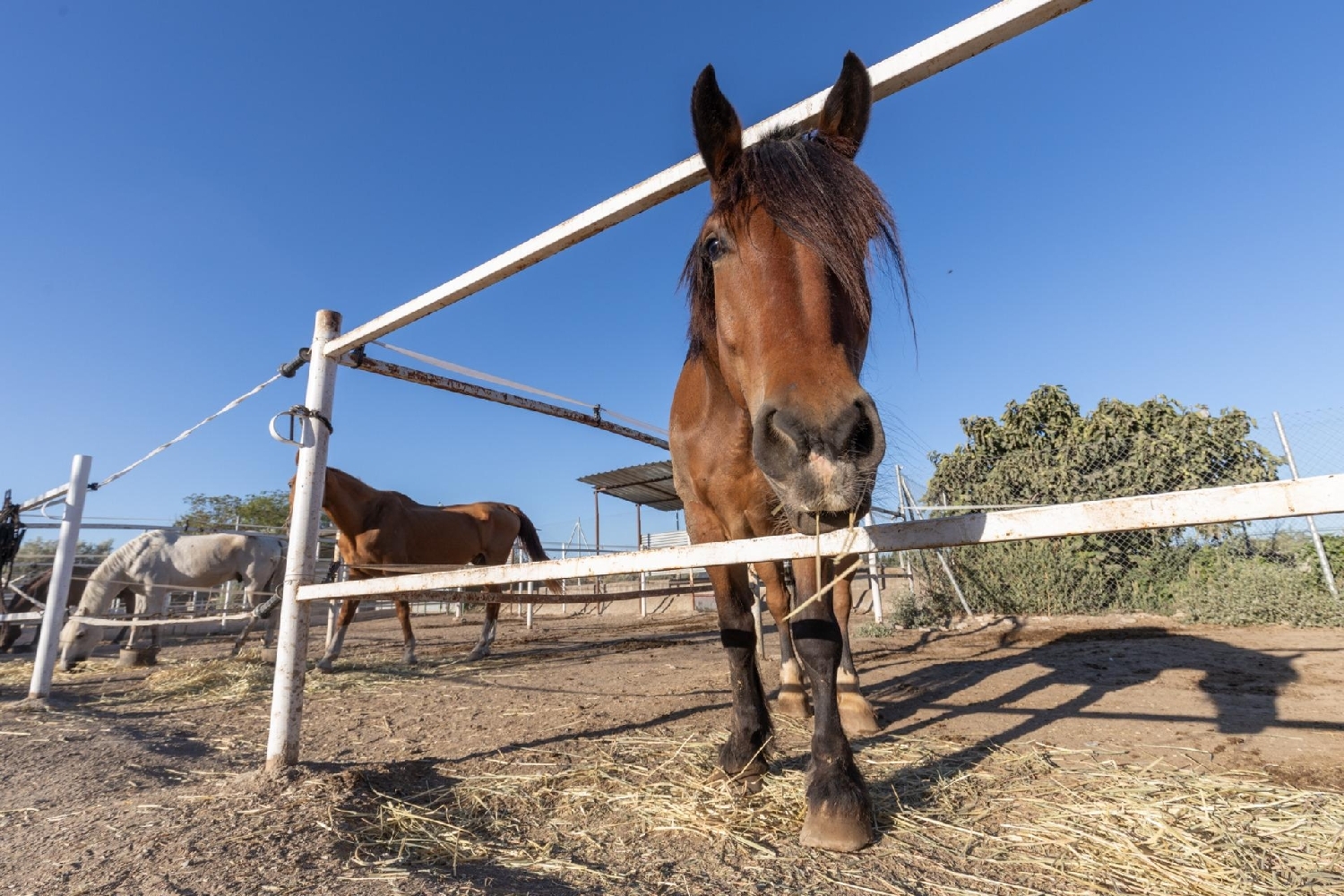  kaufen Landhaus La Zubia Vega De Granada 3