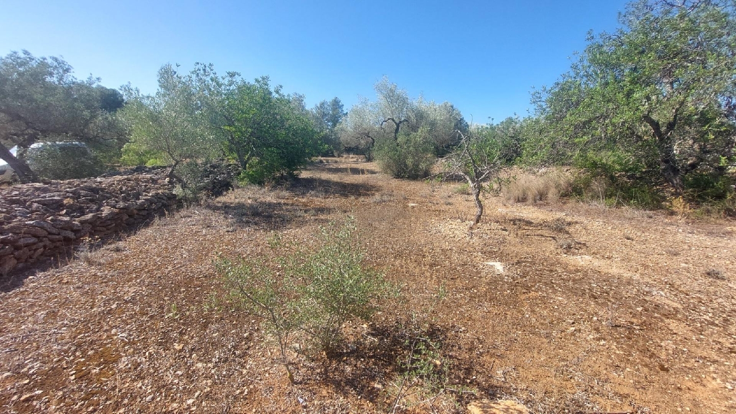  for sale country house L'ametlla De Mar Baix Ebre 8