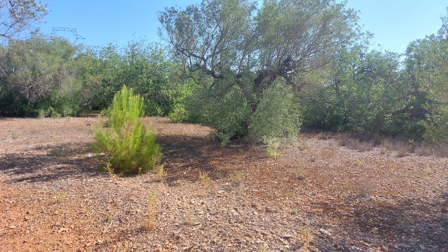  for sale country house L'ametlla De Mar Baix Ebre 7