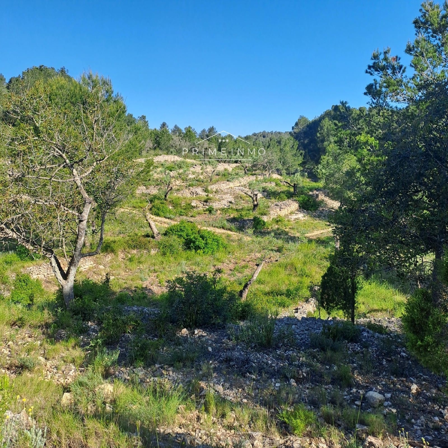 till salu hus på landet L'ametlla De Mar Baix Ebre 14