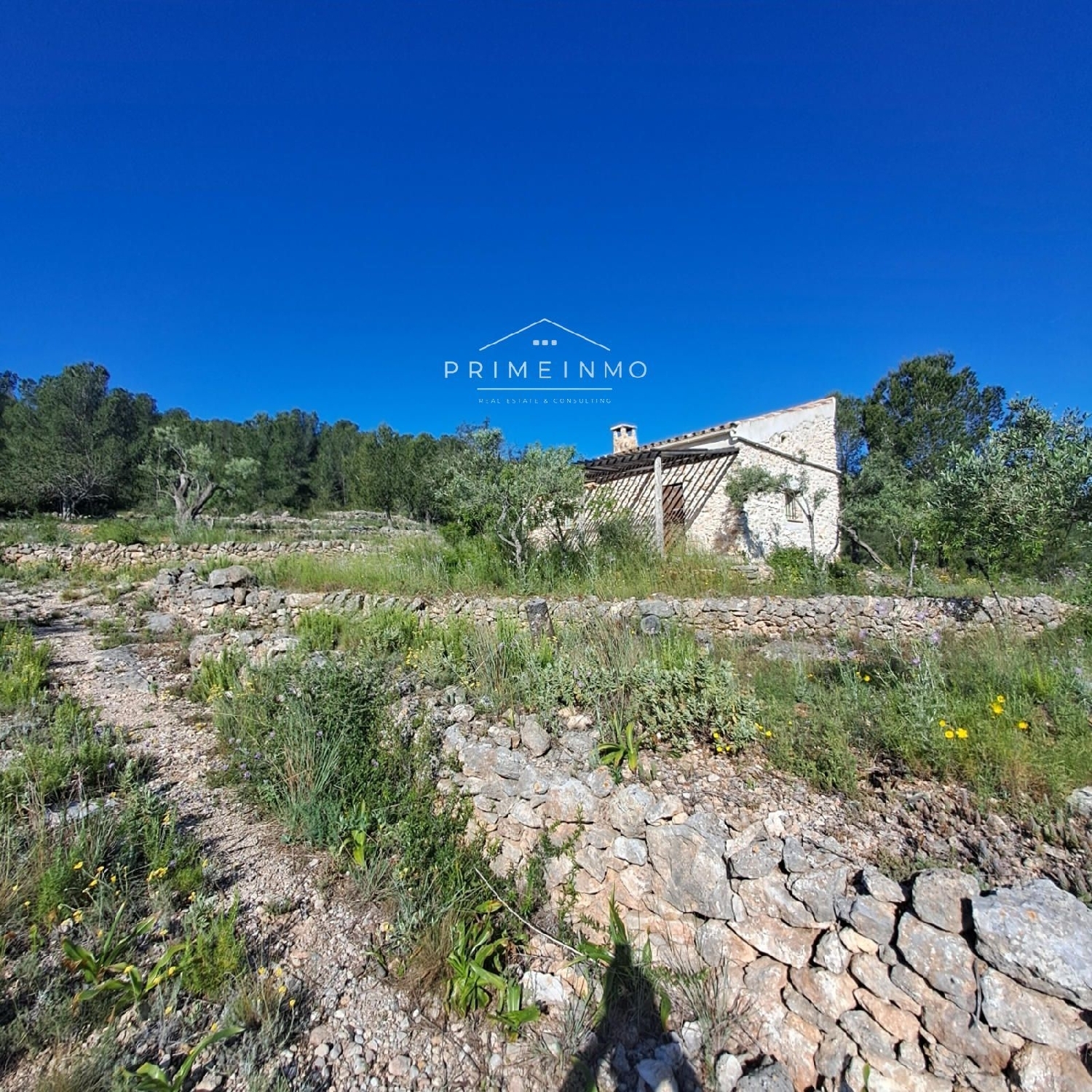  till salu hus på landet L'ametlla De Mar Baix Ebre 13